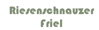 Riesenschnauzer Friel